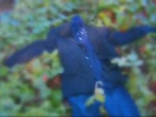 "HME..." rough cut of scene 87 (first part).