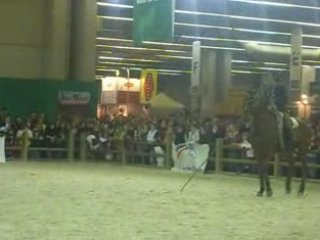 Salon du cheval 2008