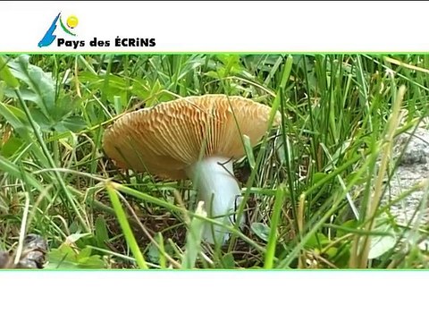 Pays des Ecrins-Hautes Alpes