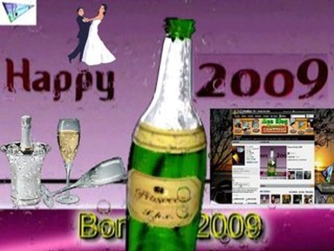 Cuvée Dailymotion 2008/2009