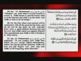 Holy Quran recitation Surat Aa'omran