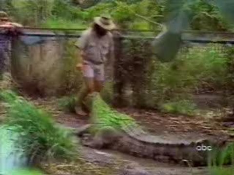 clip spécial gadins