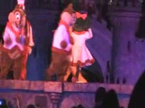 Bougillumination à Disneyland Paris(29-11-2008)