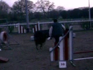 DIXIE des Côteaux du Lys