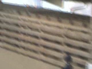 Illico et moi dressage E2