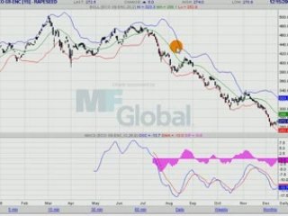COLZA EURONEXT 15.12.08