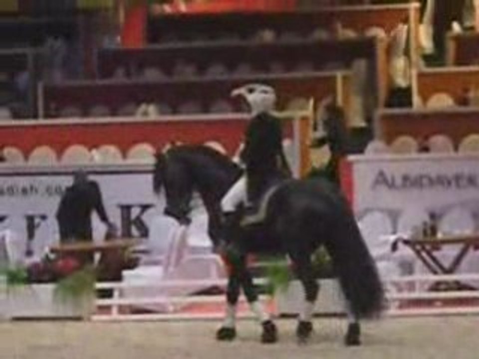 Eloi Etalon Frison Haras de Graffard Salon du cheval 2008