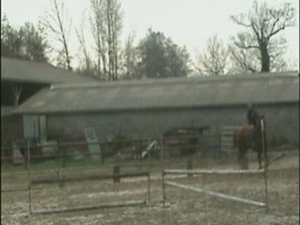 Tro bo saut de mon bb