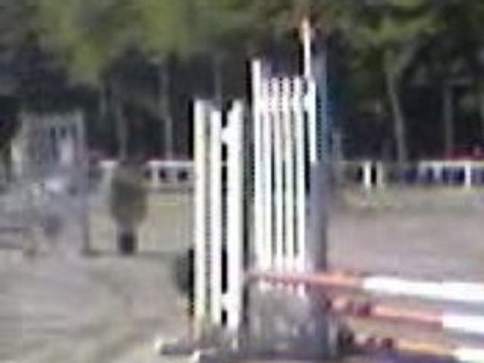 Virgile en concour de cso