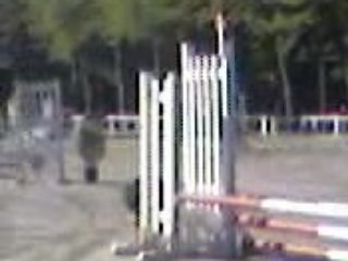 Virgile en concour de cso