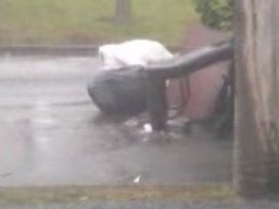 les rats attaque!!!!!!!!!!