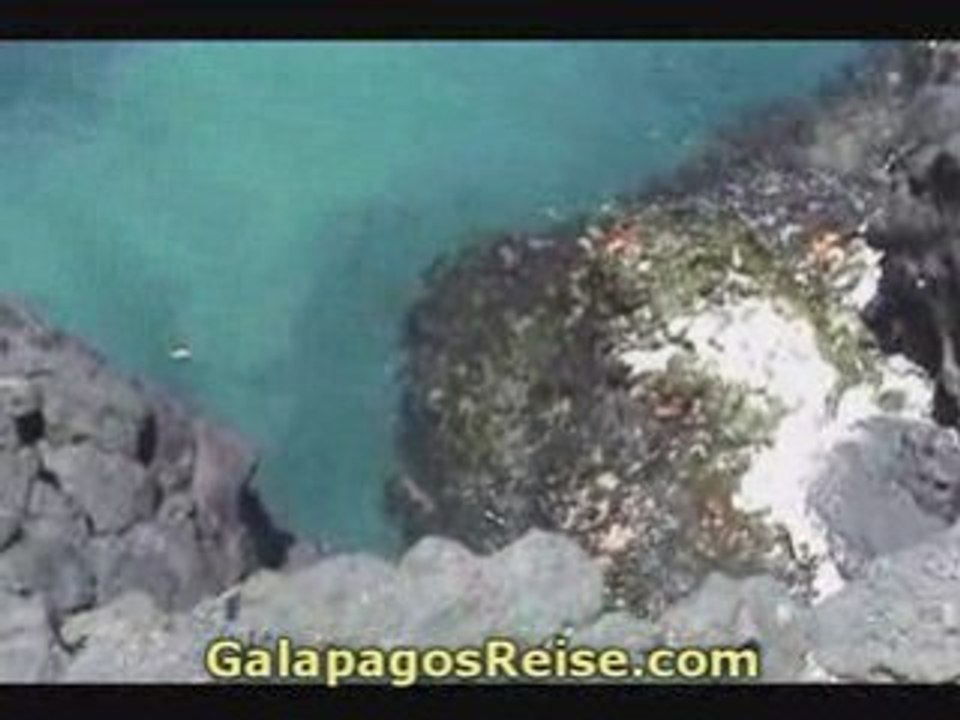 Video The Galapagos Islands - Part 22