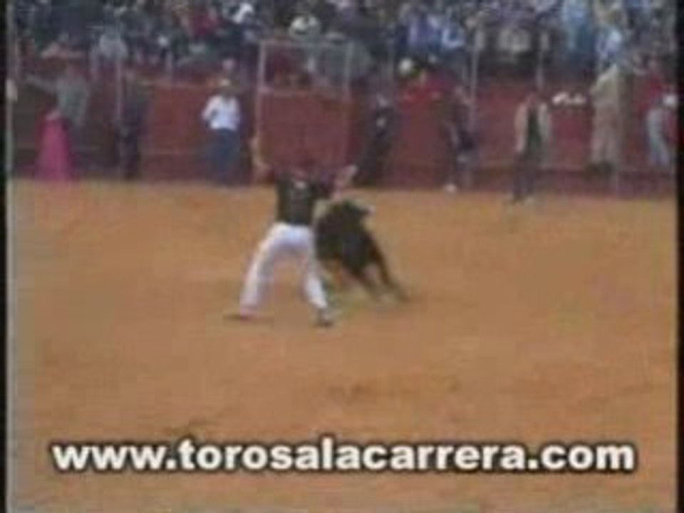 Encierros en Boadilla del Monte (Madrid) 2003