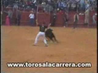 Encierros en Boadilla del Monte (Madrid) 2003