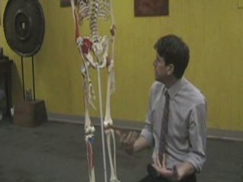 Rolfing 2-Certified Rolfing Fort Worth-Dallas,TX.