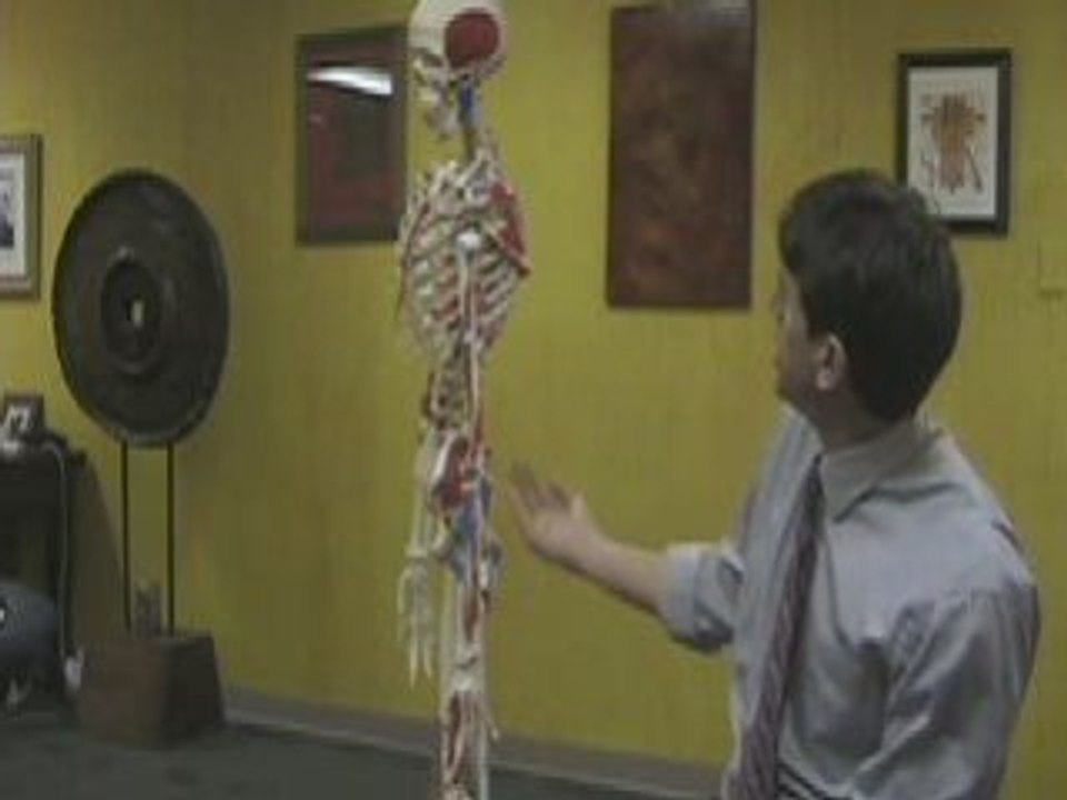 Rolfing 4-Certified Rolfing Fort Worth-Dallas,TX.