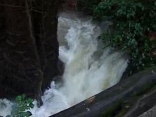 Torrent du Fauge à Gémenos (13) le 15 décembre 2008