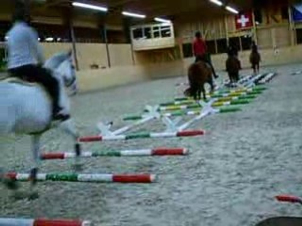 Stangenstunde Rüti 2008