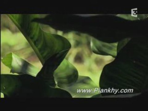 Guadeloupe : Îles Saintes, esclavage et métissage