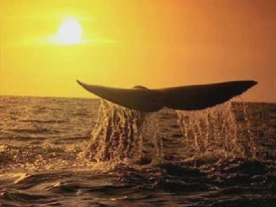 Un monde plein de couleurs