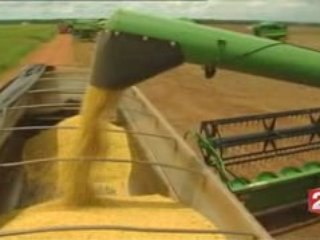 Famine mondiale, sous nutrition (Haïti et Éthiopie)