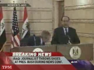 Chaussure cadeau pour BUSH plus "espece de chien"