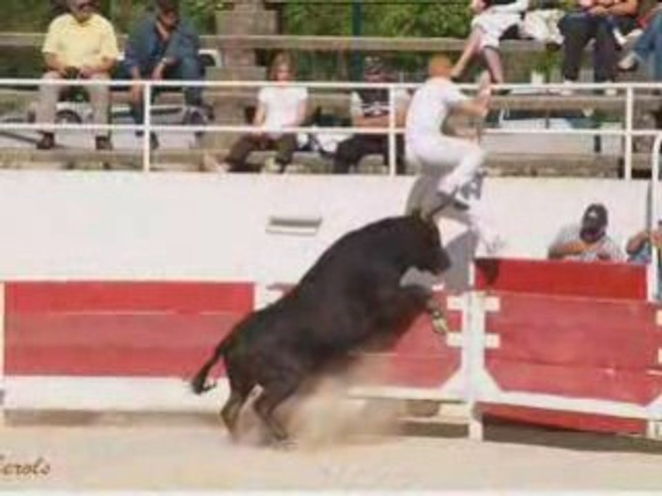 lessaintes maries de la mer