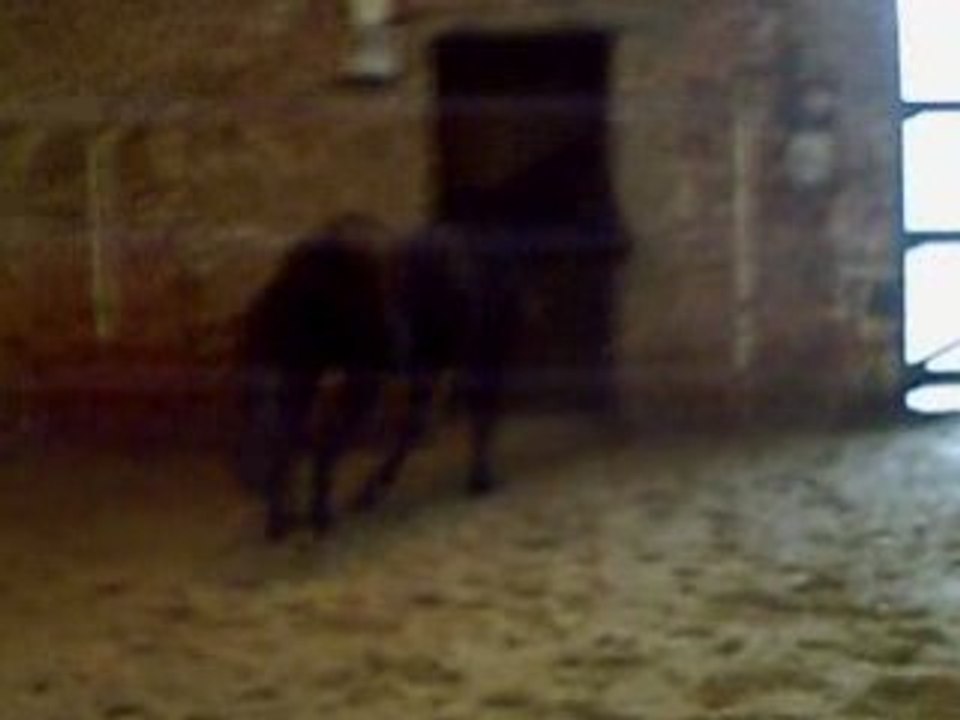 CLIP0010