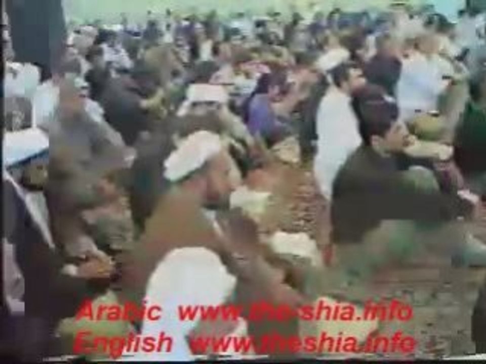 اسمع الى اولاد المتعه الروافض