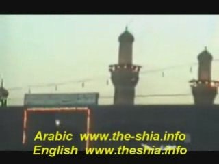 انظر الى اولاد المتعه الروافض