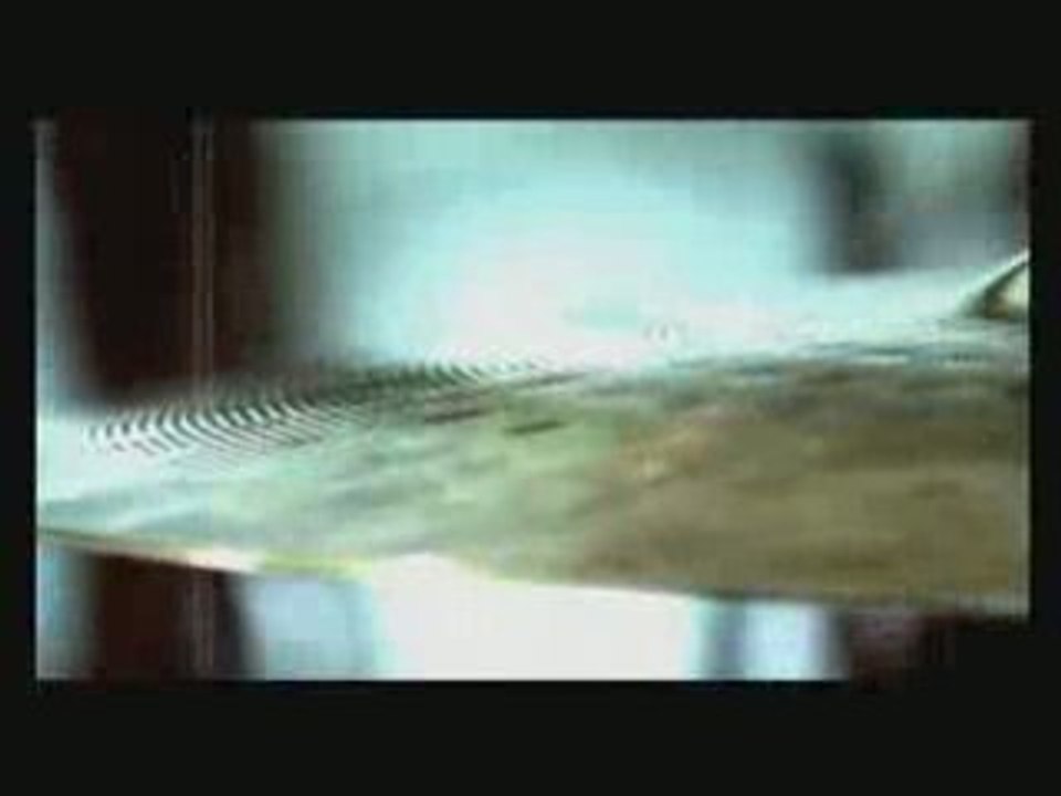 Krista-Tova koeto iskash