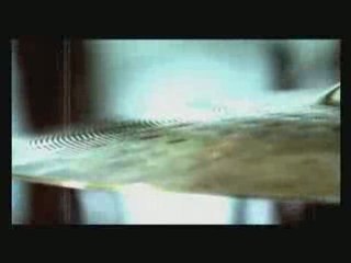 Krista-Tova koeto iskash