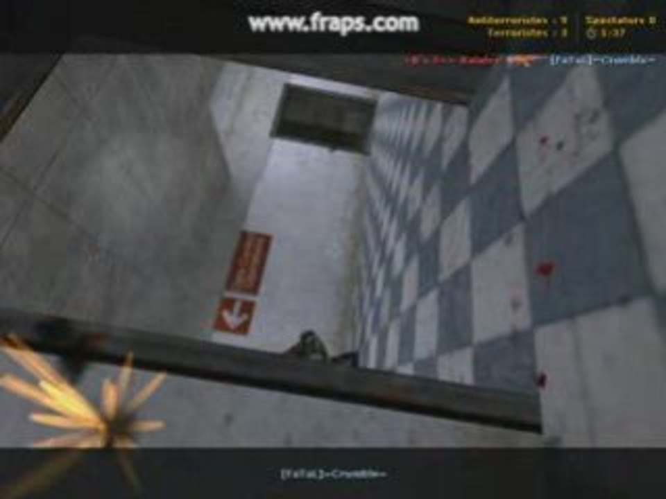 Bibelus vs Fatal