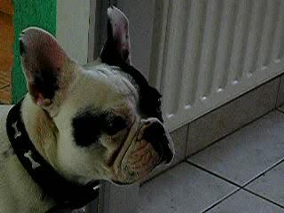 vidéo des bébés de roxane