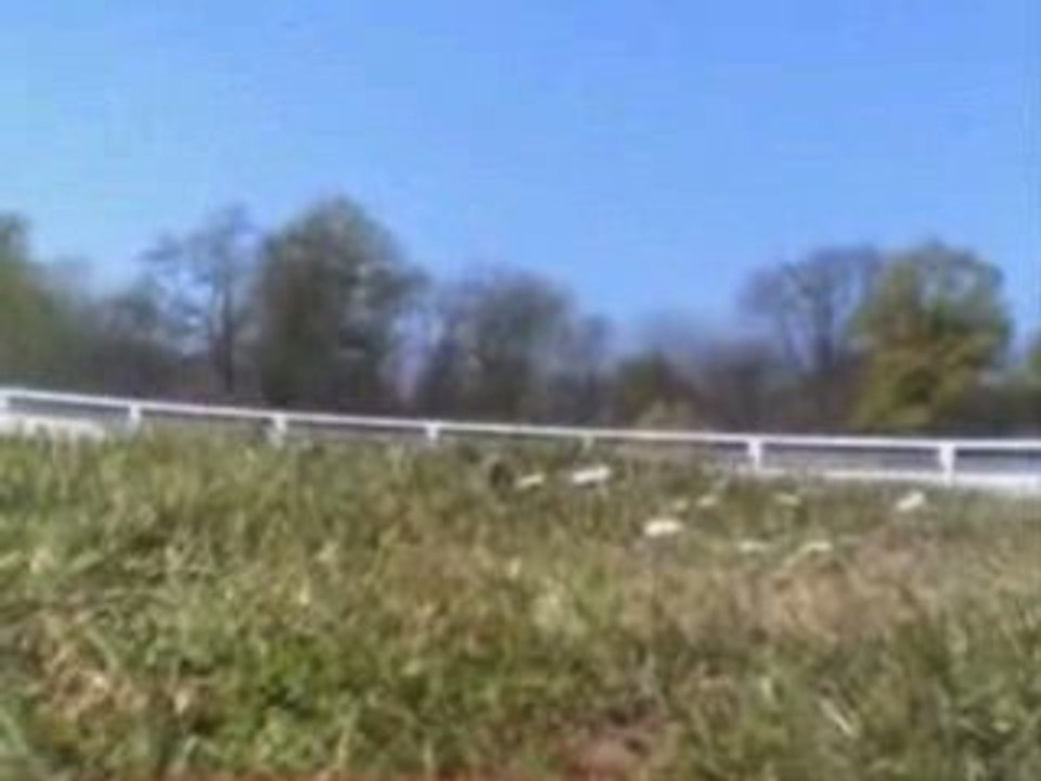 Turtle Team 1/5 (cam embarquée)