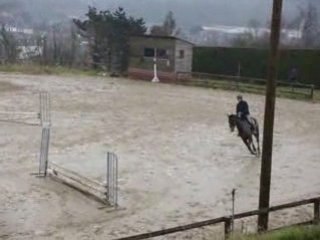 Notre cheval Mirabeau Challenge 14 dec 2008