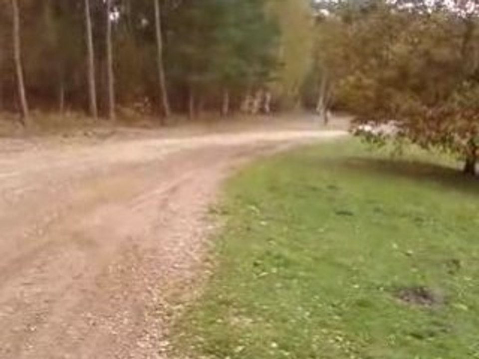 85 yz, 700 raptor et 200 blaster   76800 marajile