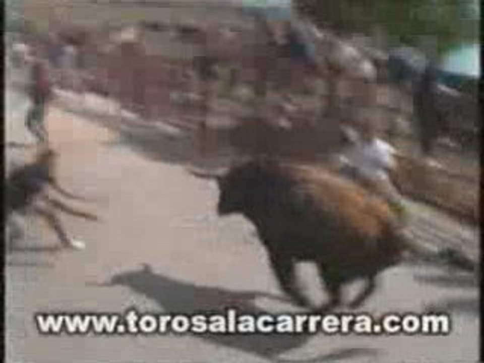 Encierros en El Molar (Madrid) 2003