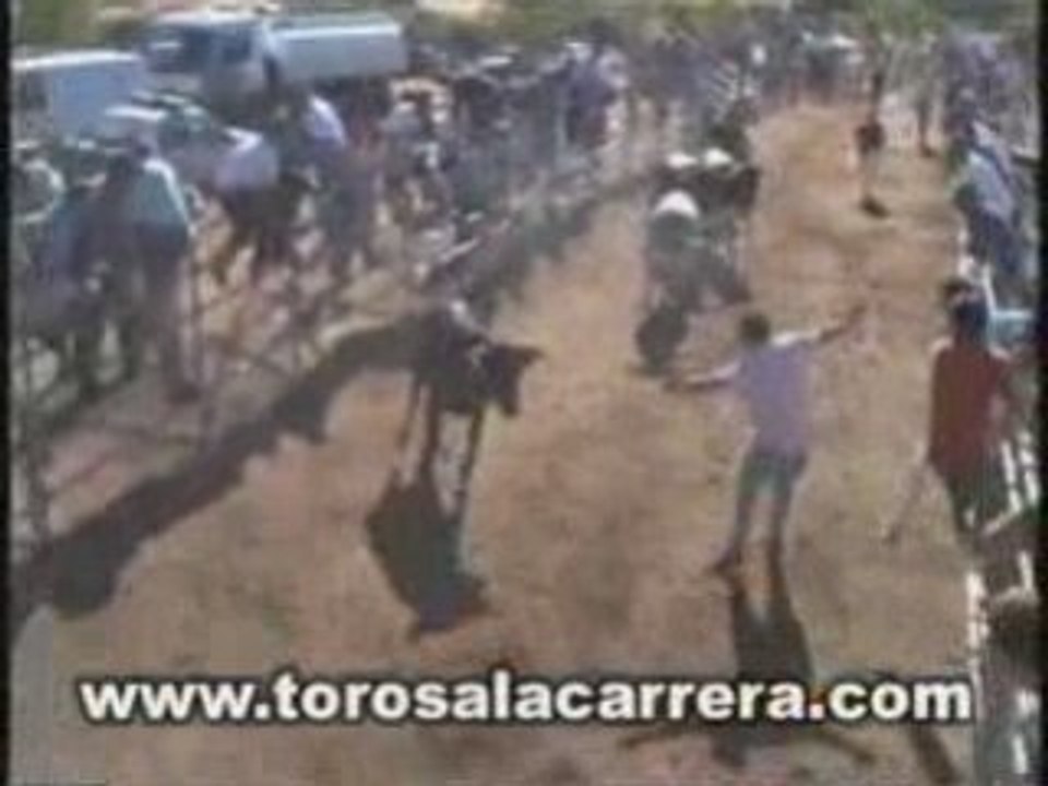 Encierros en Colmenarejo (Madrid) 2003