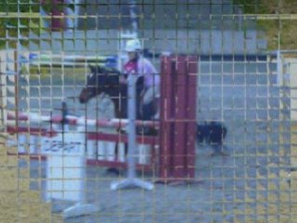 Bêtisier de Saut Obstacles