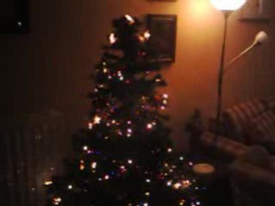Sapin2