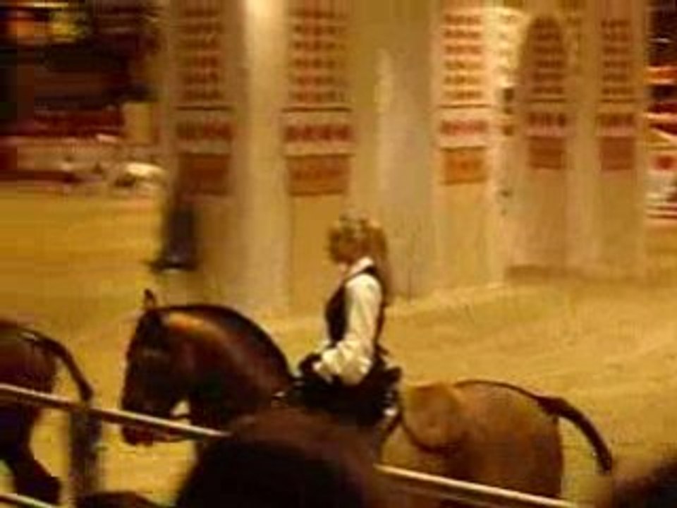 pavillon4, dressage