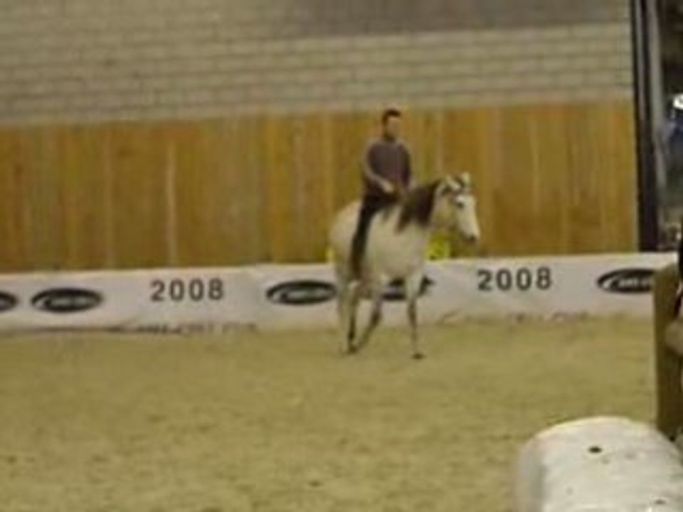 Paddock salon du cheval