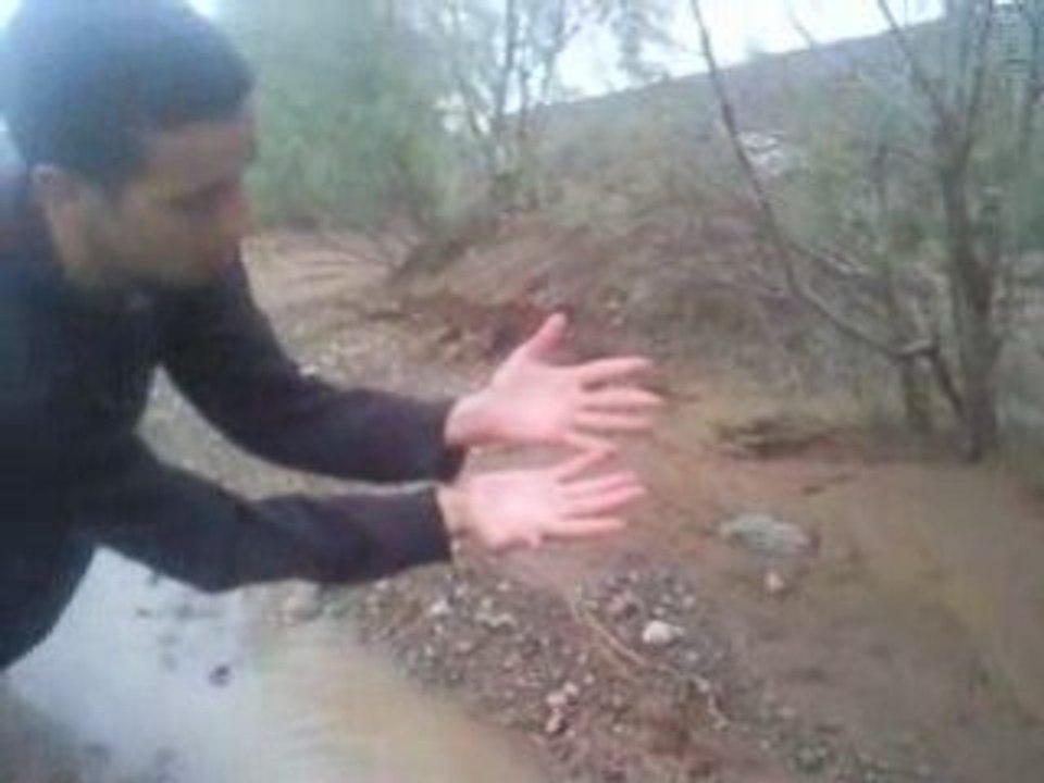 abroury  golnif