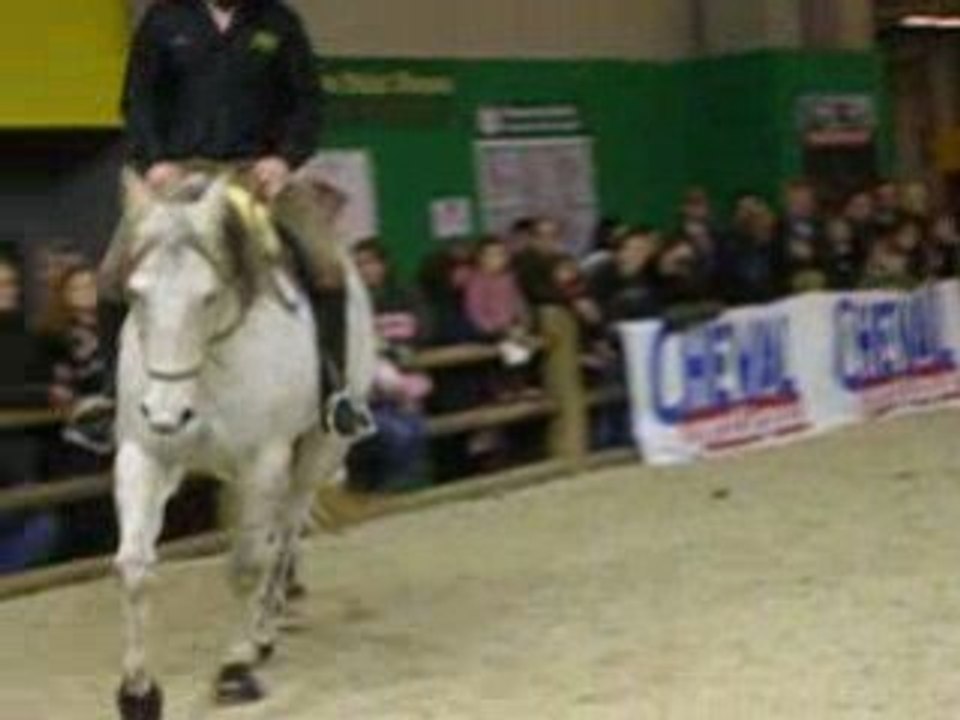 Andy et Oakies nocturne salon du cheval 2008