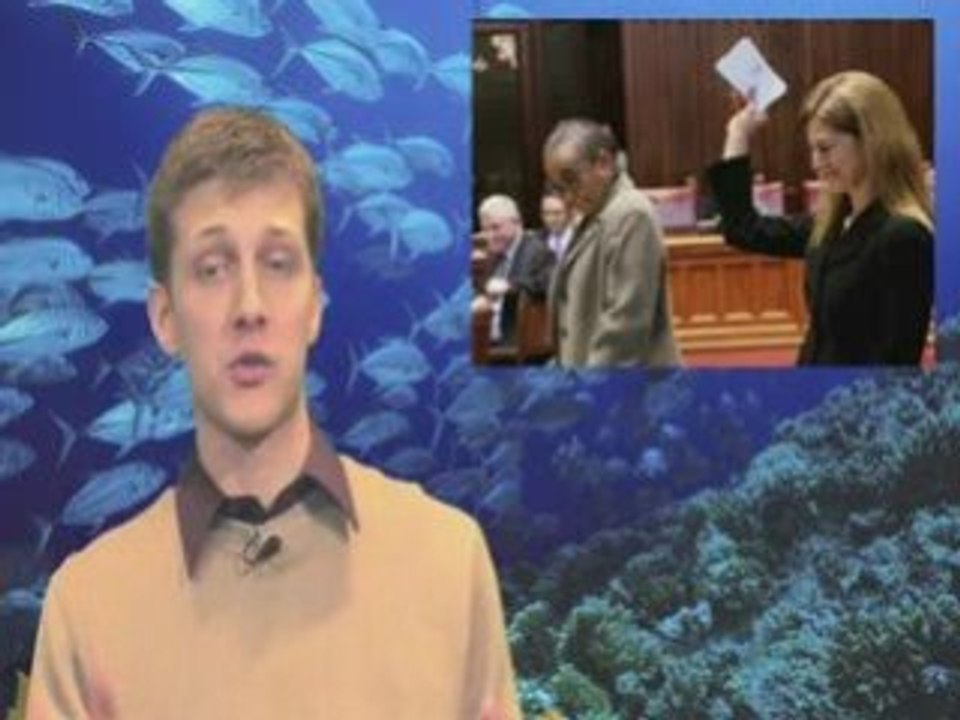 Cute little girl runs for Senate