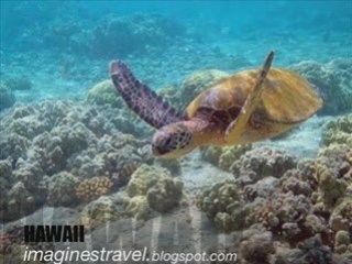 Viaje de placer a Hawaii - Vacaciones