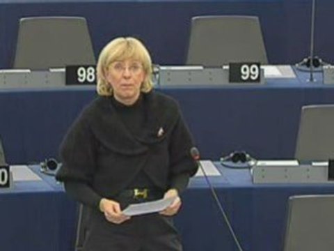 Karin Riis-Jørgensen on Toys Directive