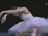 Lopatkina - The Dying Swan