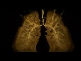 Bring Me The Horizon - PRAY FOR PLAGUES